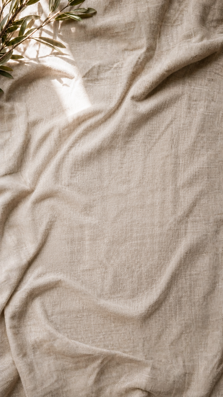 Folio Background